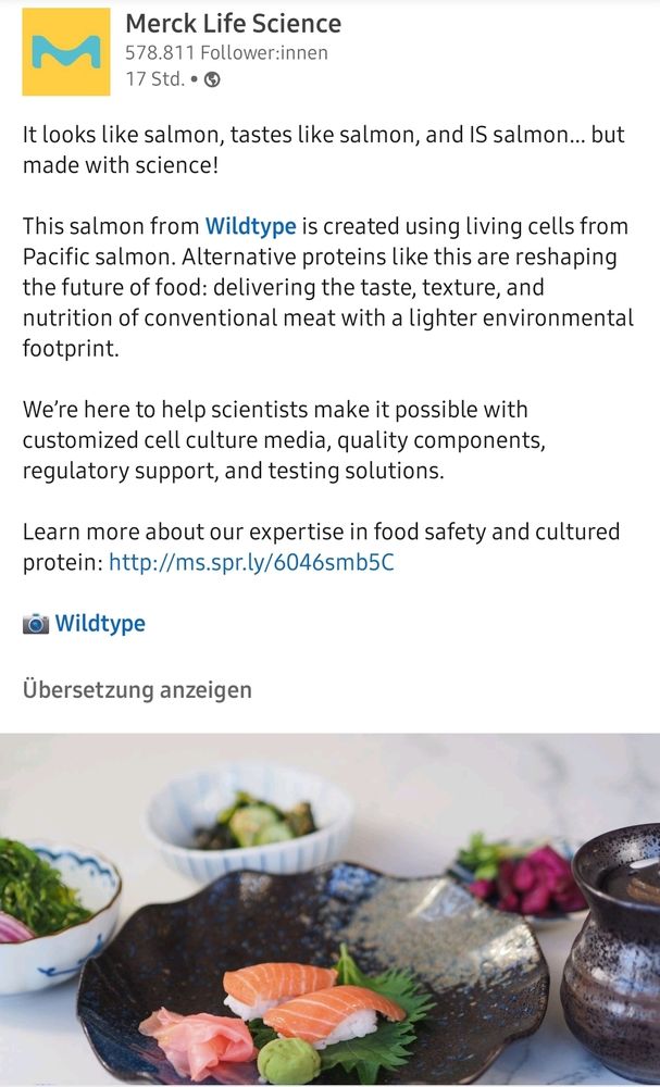 A post by Merck Life Science about their partnership with Wildtype. The post features a picture of a plate of sushi-like dishes with pink, salmon-like slices on top. The text reads: 'It looks like salmon, tastes like salmon, and IS salmon… but made with science! This salmon from Wildtype is created using living cells from Pacific salmon. Alternative proteins like this are reshaping the future of food: delivering the taste, texture, and nutrition of conventional meat with a lighter environmental footprint. We’re here to help scientists make it possible with customized cell culture media, quality components, regulatory support, and expertise solutions. Learn more about our expertise in food safety and cultured protein: http://ms.spr.ly/6046smb5C