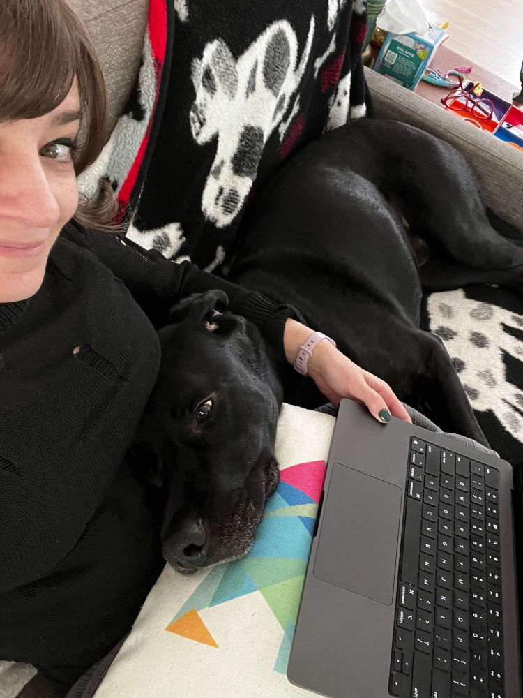 Black dog in my lap between me and my computer. 
