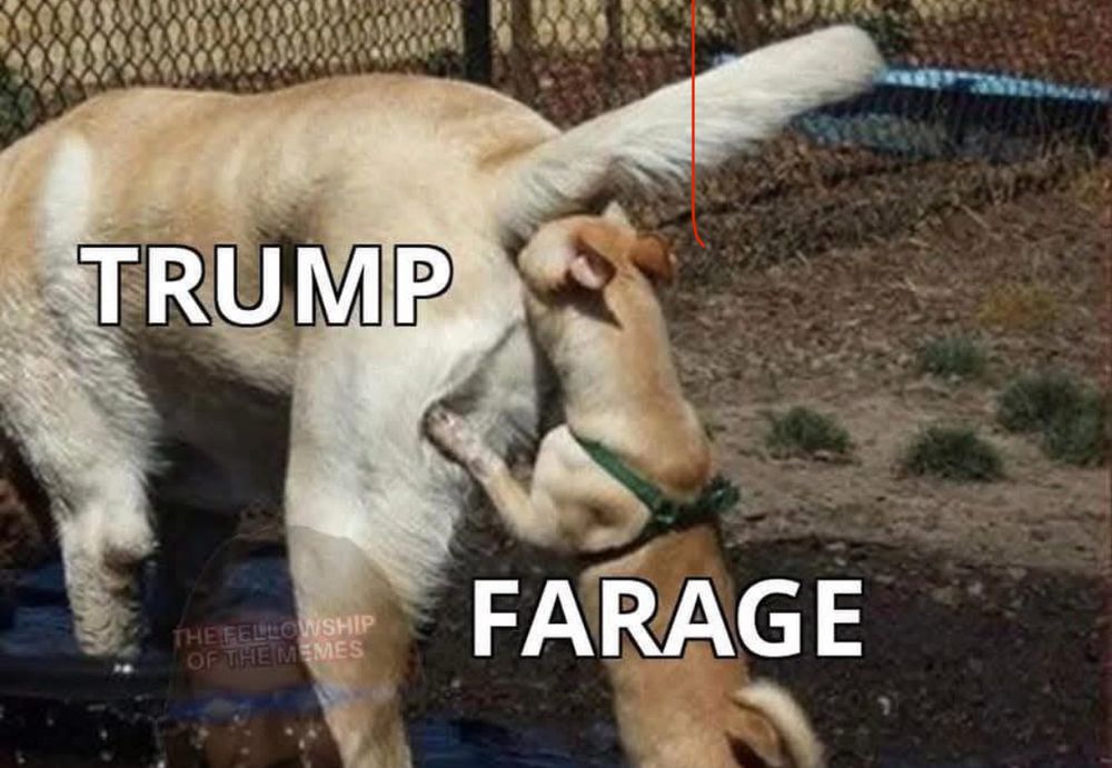 #ReformUk #Nigelfarage