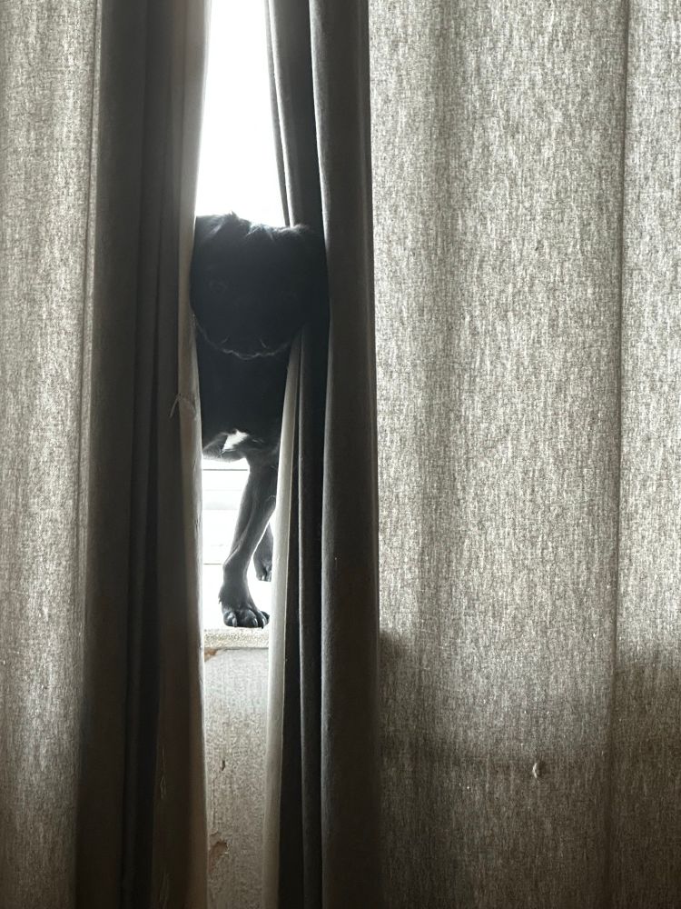 The watcher