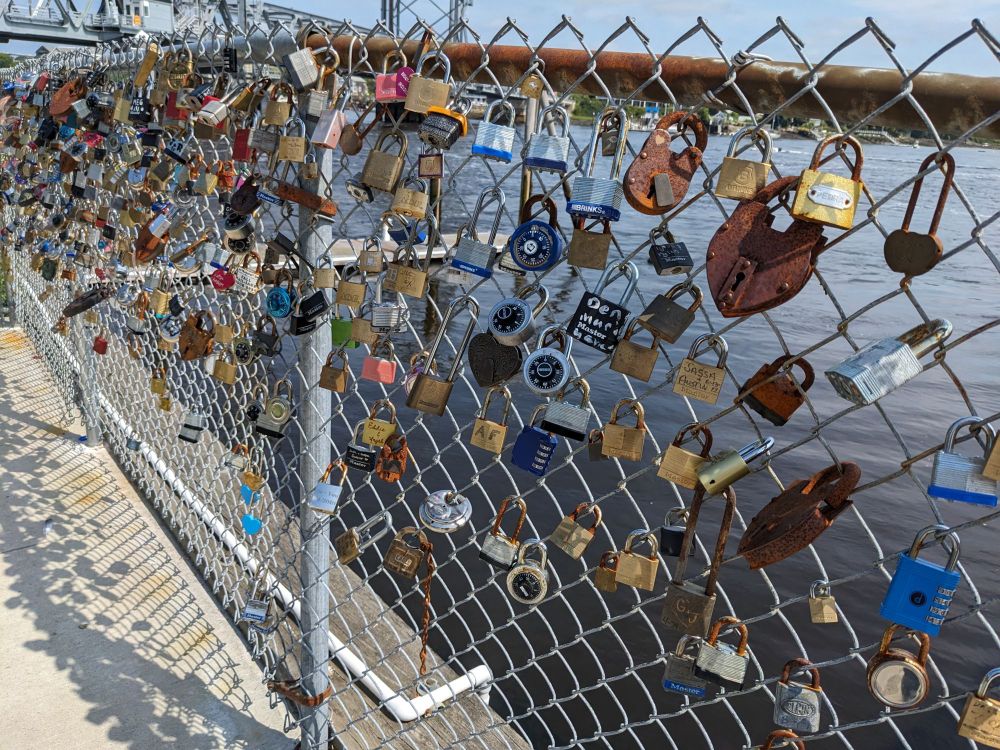 chain link fence covered in locks left by people expressing love for someone