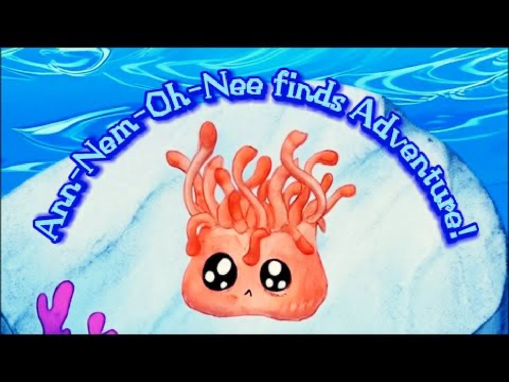 🪸 Anemone's Ocean Adventure: A Journey Through the Sea! 🐳