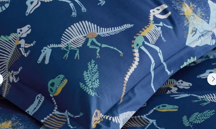 blue sheet and matching pillow with dinosaur skeletons 