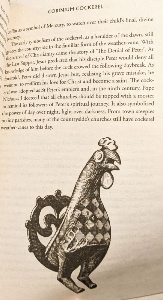 photo of a page from the book A Brief History of the Countryside in 100 Objects (#21).

CORINIUM COCKEREL

...coffin as a symbol of Mercury, to watch over their child's final, divine journey.

The early symbolism of the cockerel, as a heralder of the dawn, still graces the countryside in the familiar form of the weather-vane. With the arrival of Christianity came the story of "The Denial of Peter'. At the Last Supper, Jesus predicted that his disciple Peter would deny all knowledge of him before the cock crowed the following daybreak. As foretold, Peter did disown Jesus but, realising his grave mistake, he went on to reaffirm his love for Christ and become a saint. The cock-erel was adopted as St Peter's emblem and, in the ninth century, Pope Nicholas I decreed that all churches should be topped with a rooster to remind its followers of Peter's spiritual journey. It also symbolised the power of day over night, light over darkness. From town steeples to tiny parishes, many of the countryside's churches still have cockerel weather-vanes to this day.

[pen drawing of a folkloric designed ornate enameled bronze rooster found in a child's grave from the 2nd centruy CE, when it's symbolism was Roman in nature to guide the child to the afterlife as discussed in preceeding pages.]