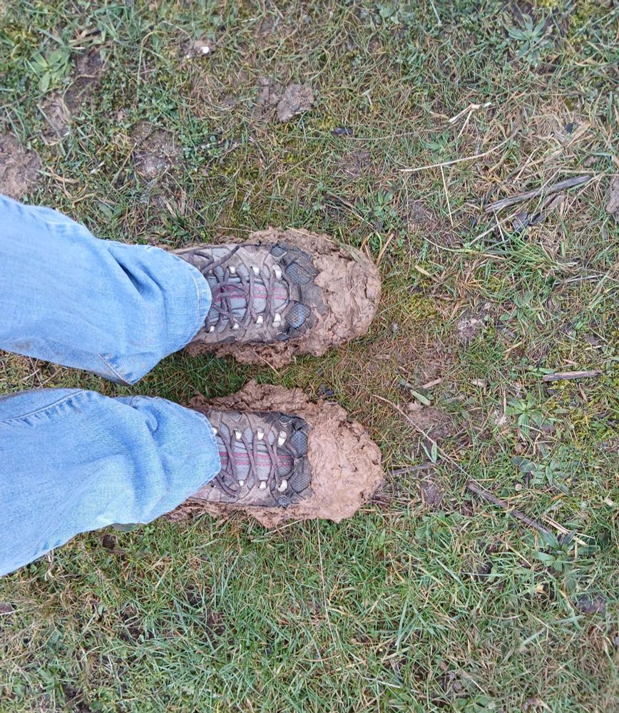 View of a person's jean-covered legs and very muddy walking boots standing on grass.