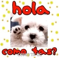 a white puppy is waving its paw with the words hola como tas written on it .