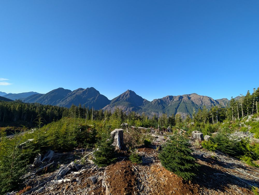 Fish eye lens view of mountains as seen from a forestry cut block.