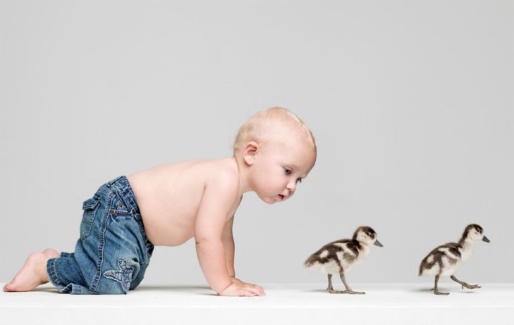 Babies learn to babble like birds learn to sing - Nature