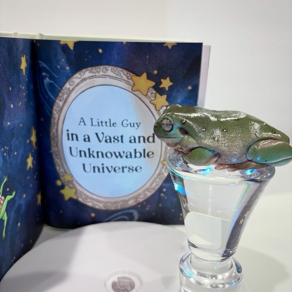 Oliver the frog is reading a book called “I’m Just a Little Guy, How to Escape the Horrors and Get Back to Dillydallying”, by Charlie James and Illustrated by Paige Tompkins. 