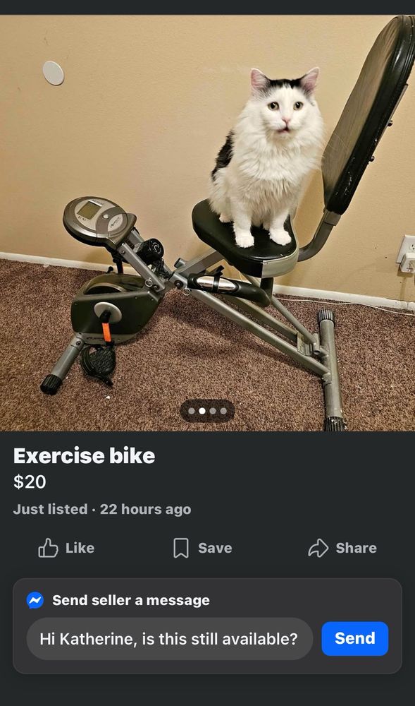 A worried looking black and white cat sitting on the seat of an exercise bike that is for sale on Marketplace. Looks like the photo was taken mid meow