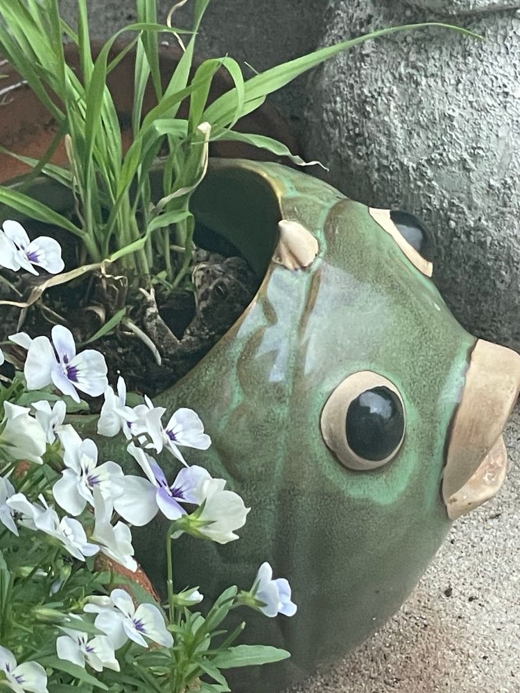 A toad resting inside of a green pot shaped like a fat, buggy eyed fish. 
