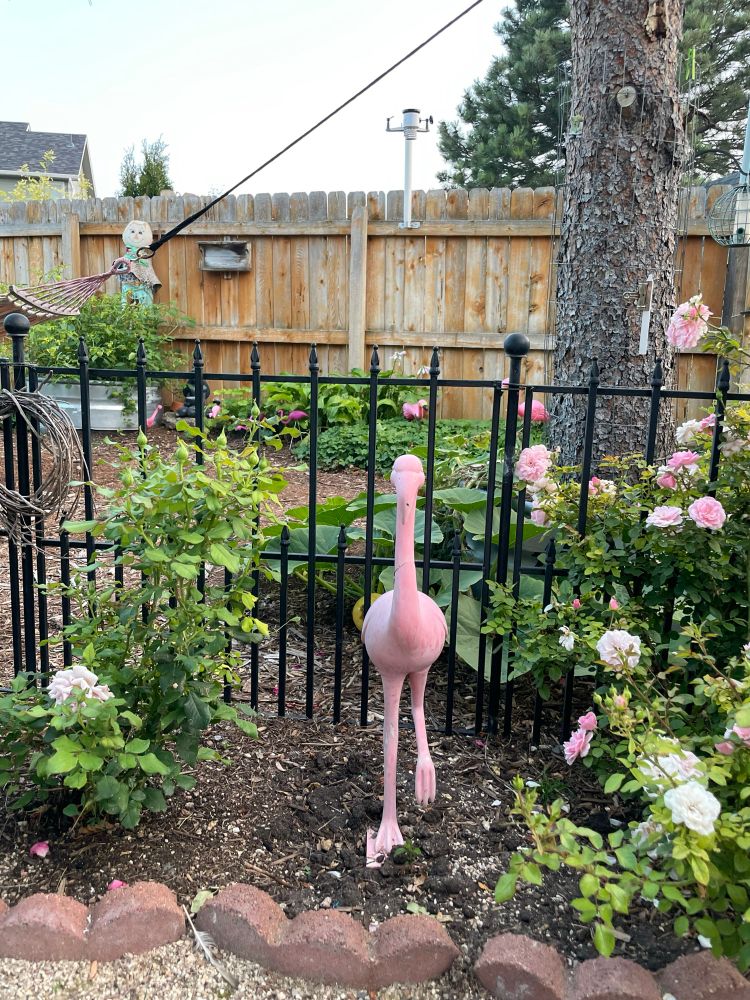 A repaired flamingo statue in my garden