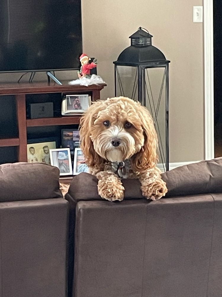 Sooooo! What’s today’s plan?