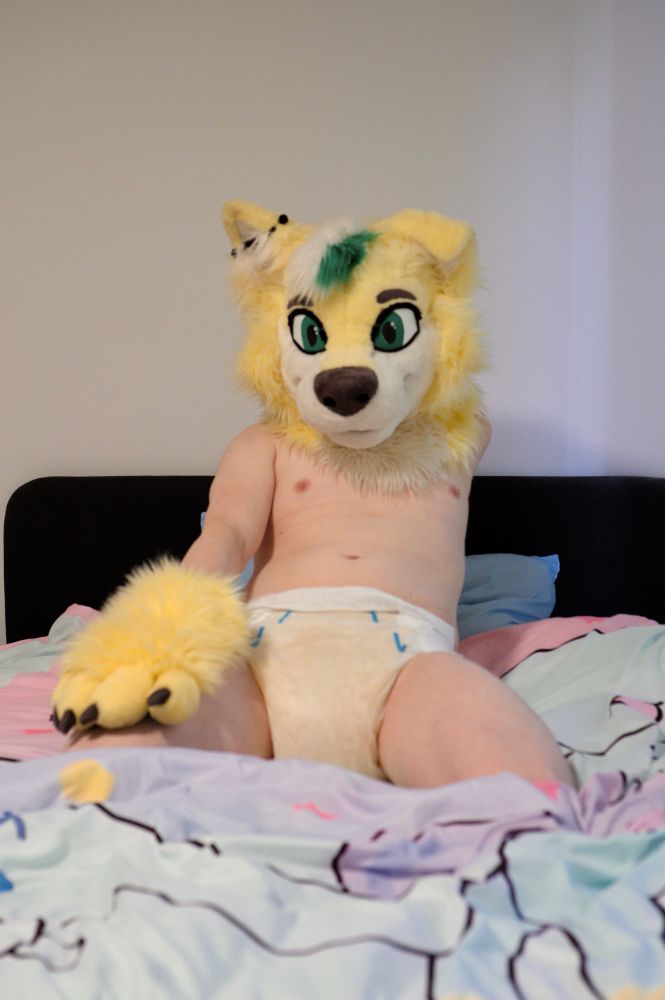 A figure posed on a bed leaning back. They’re wearing a yellow canine fursuit head and hand paws as well as white diaper that has yellowed and swollen heavily all the way up to the top.