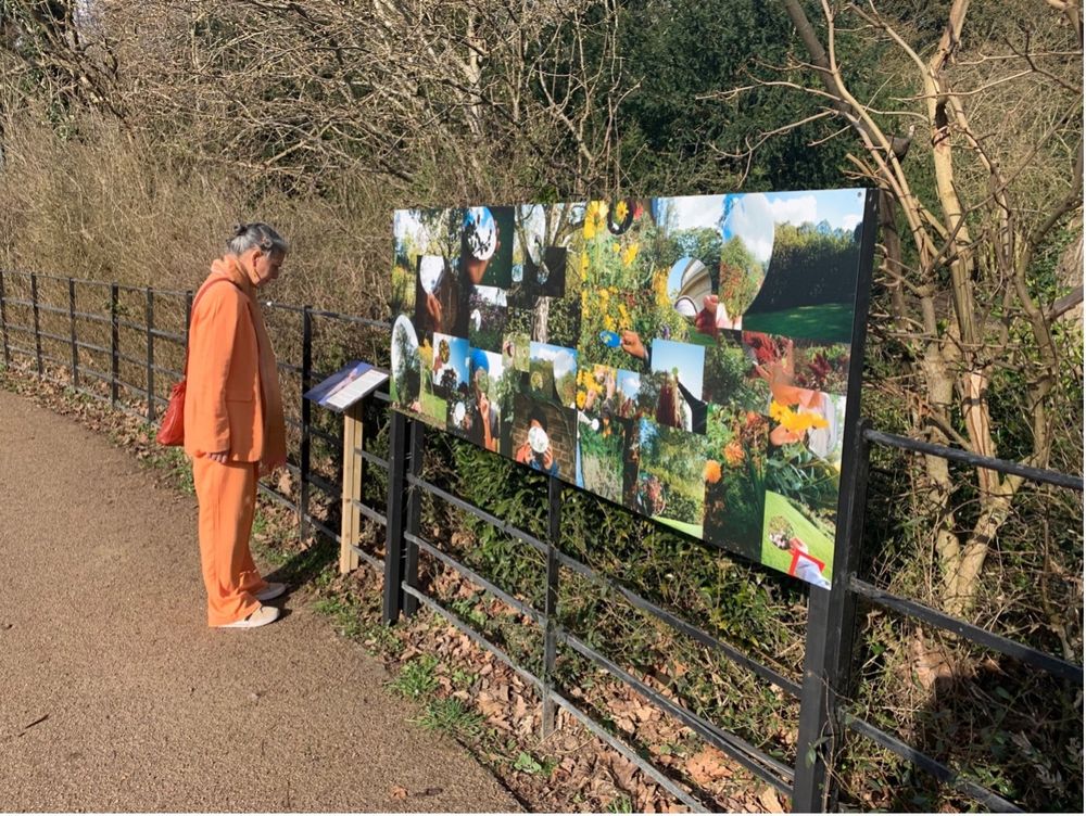 Melise looking at a board of her work at Osterley Park.