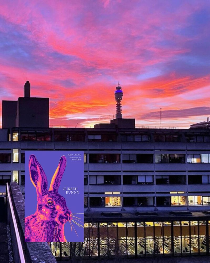 Photo of Bloomsbury – featuring the BT Tower and another building with many windows. The sky has many colours, as it is sunset, including purple and orange and pink. The accompanying book is Cursed Bunny by Bora Chung, which has a pink and purple bunny on the cover.