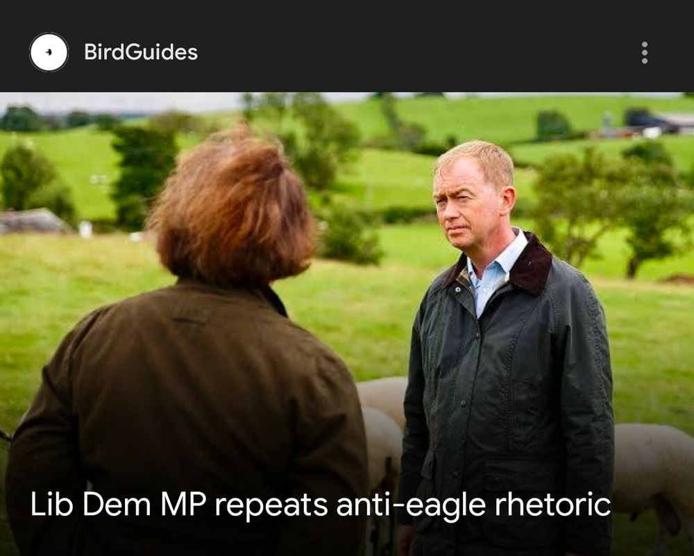 A screenshot from BirdGuides saying Lib Dem Mp repeats anti eagle rhetoric 
