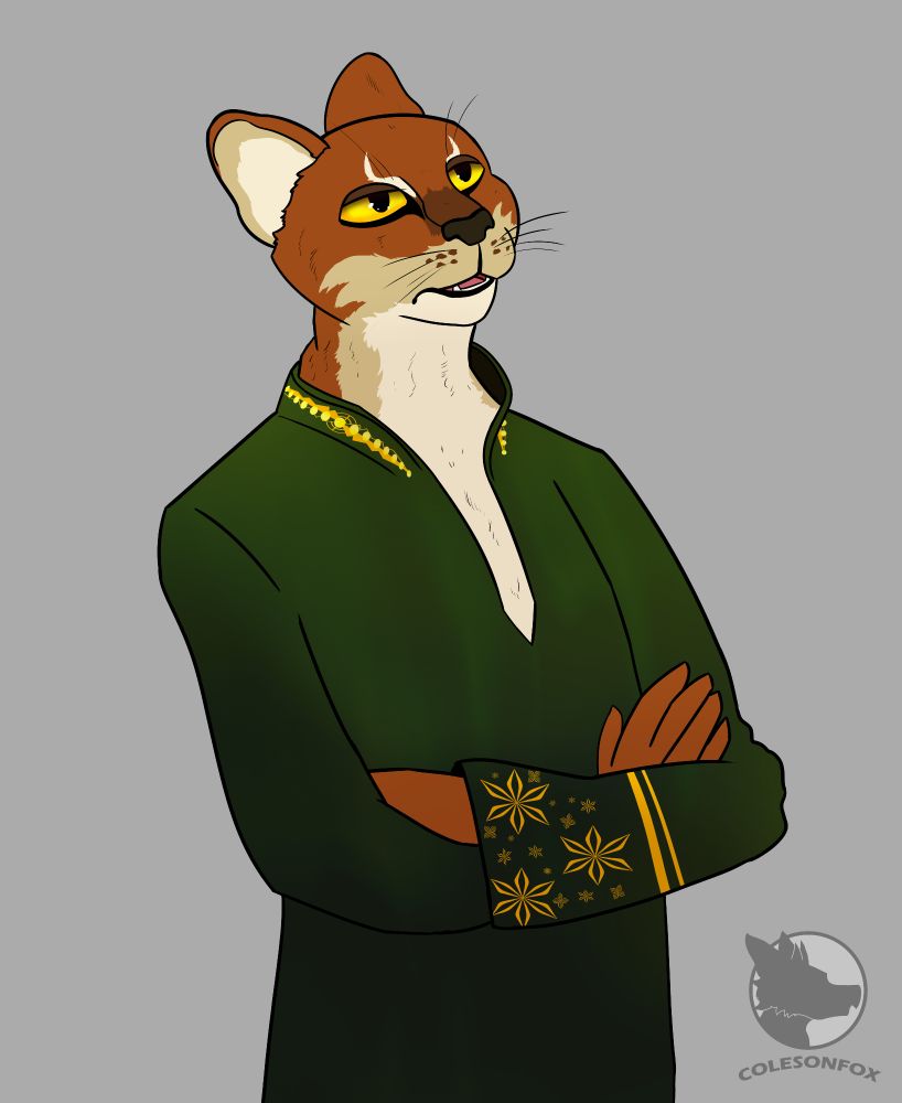 The bay cat Plukken stares unimpressed while wearing a green robe with gold embodiment. The artists logo at the bottom right reads ColesonFox