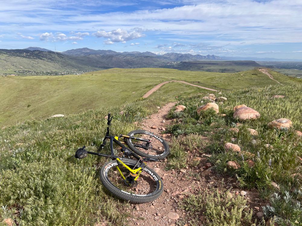 Niner One9 RDO