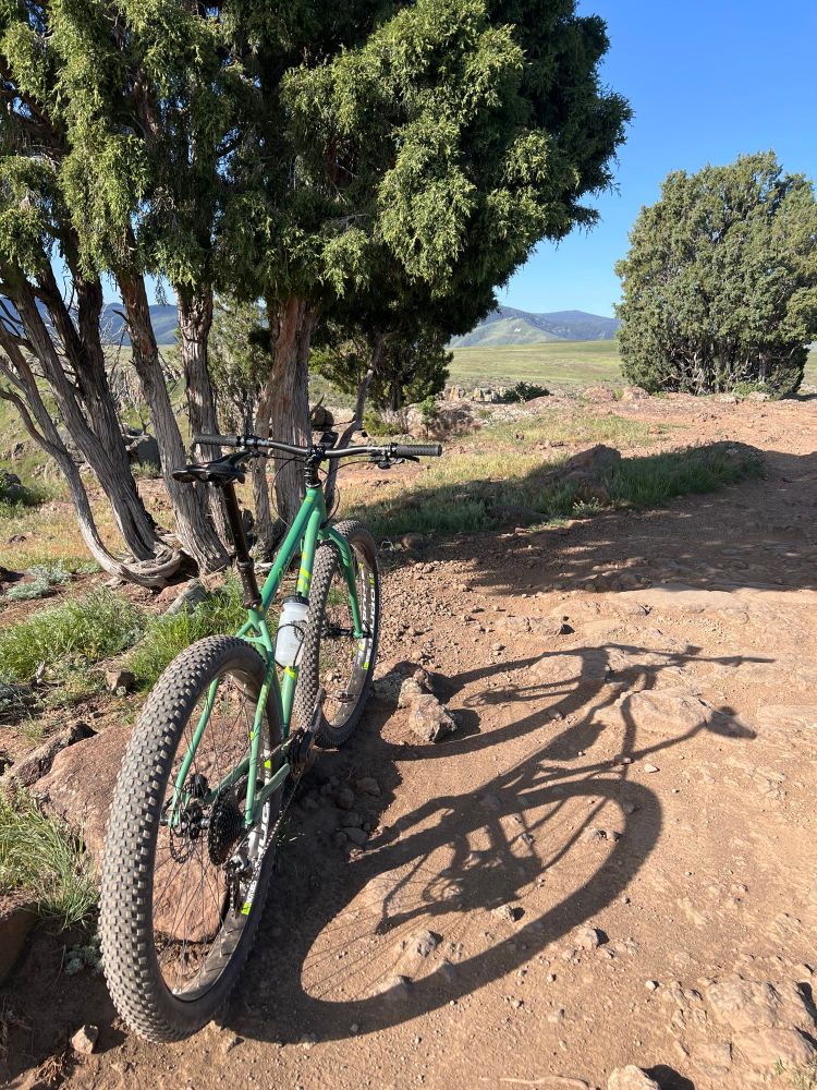 Niner ROS9 Plus