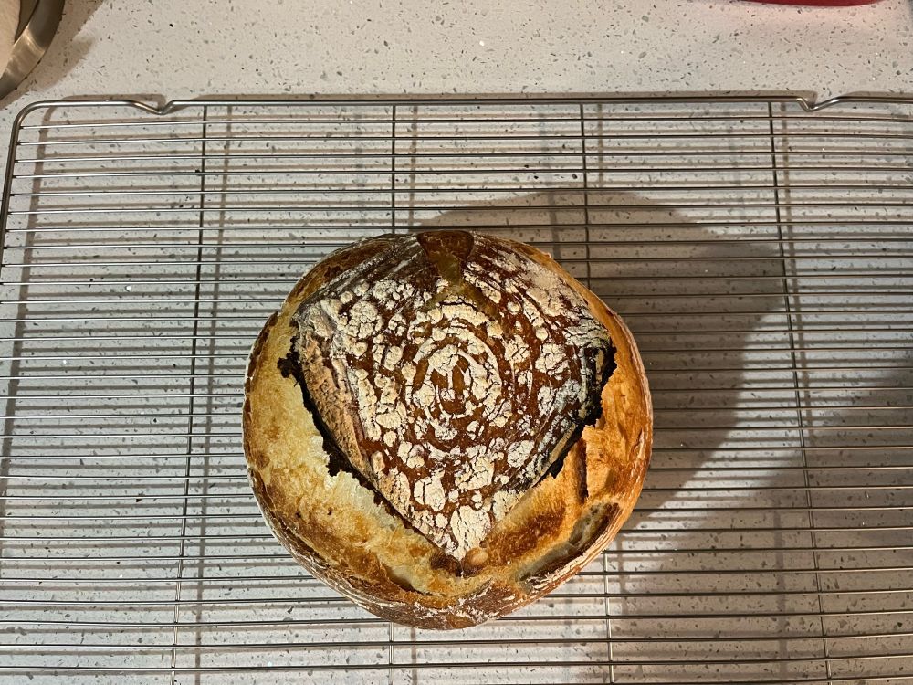Loaf of sourdough cooling on a rack