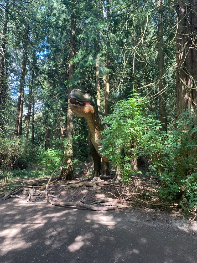 a forest with giant trees and from the bushes is a t-rex peeking out looking a bit pissed off