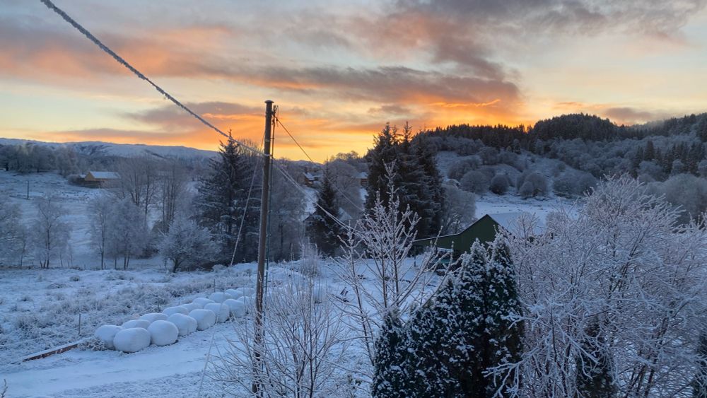 a snow covered landscape with different kinds of trees and mountains in the distance. the sun is rising behind the mountains and the sky is golden