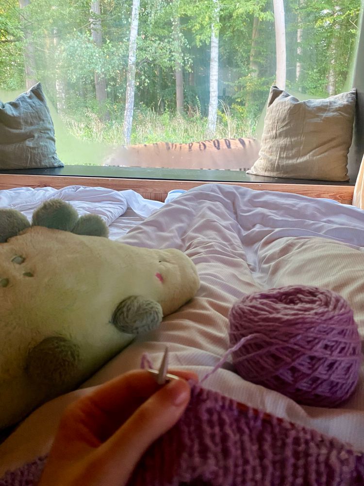 the view from my bed for the night. my legs are under the blanket, on my leg is my stegosaurus plushie and i am holding up my purple knitting with a purple cake of yarn on my lap. at my feet is a big windowsill with pillows and a large window through which is a forest and a TIGER