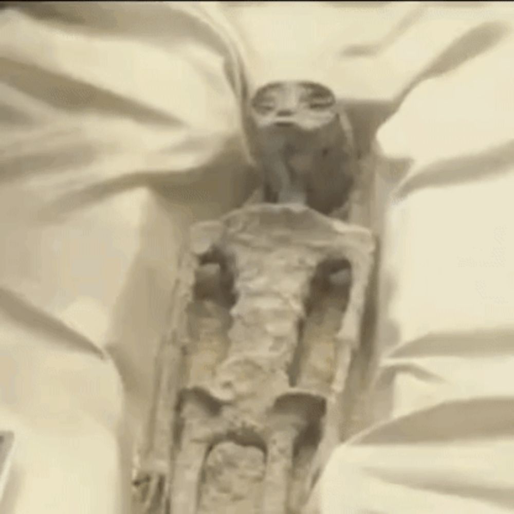 a mummy is laying on a bed with a statue of an alien .