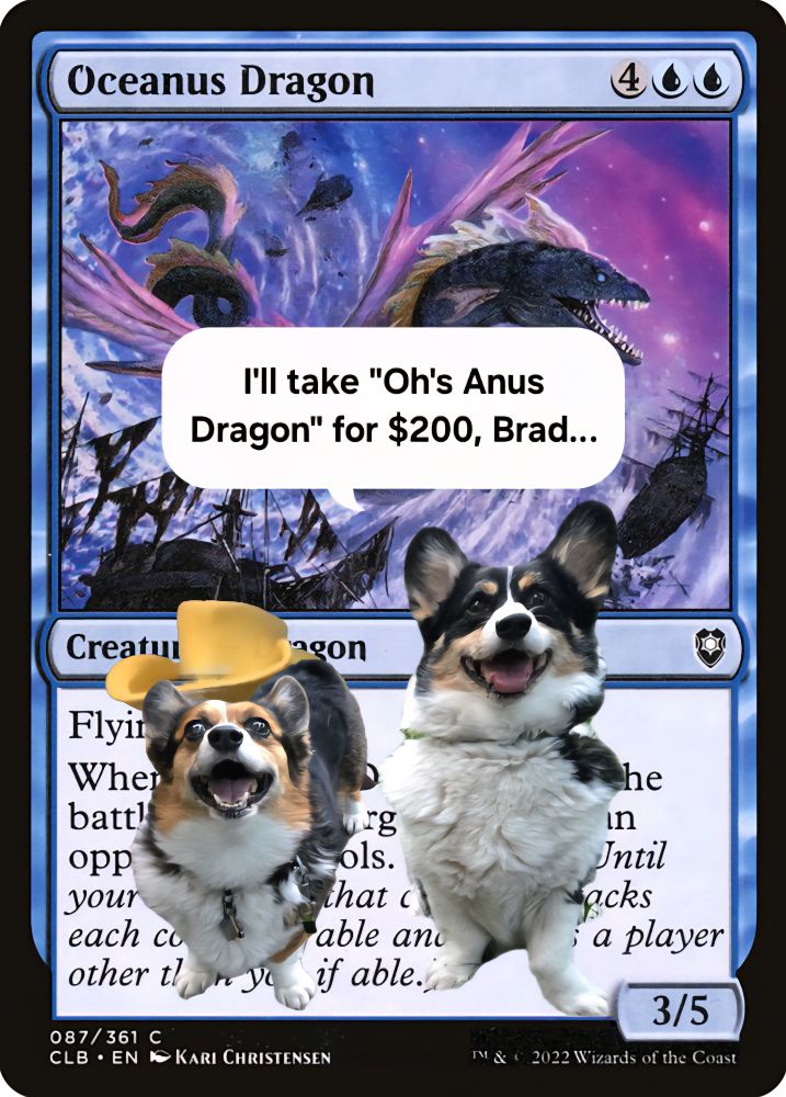 Magic: the Gathering Oceanus Dragon from Commander Legends: Battle for Baldur's Gate but tricolor Pembroke Welsh #Corgi siblings Freyja Frostypaws (Turd Ferguson with oversized yellow cowboy hat) and Loki Laughinghund (Sean Connery) from Saturday Night Live "Celebrity Jeopardy". Word balloon from Loki says"I'll take "Oh's Anus Dragon" for $300, Brad" #corgis #corgicrew #corgisky #mtgdogs #pdh #pauperedh #paupercommander #magicthegathering 