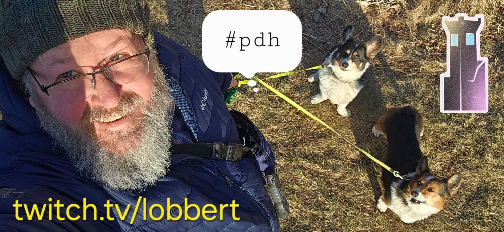 TooMuchDew aka The Alpine Houndmaster and tricolor Pembroke Welsh #Corgi siblings Loki Laughinghund and Freyja Frostypaws looking magnificent A.F. #corgis #corgicrew #corgisky #dogsofbluesky #dogsky #minnesota #mtgdogs #pdh #pauperedh #paupercommander