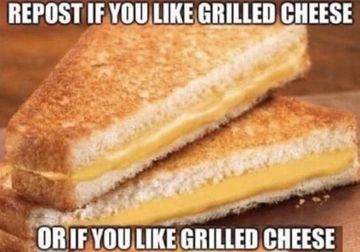 top text: repost if you like grilled cheese. Bottom text: Or if you like grilled cheese. Picture is a grilled cheese