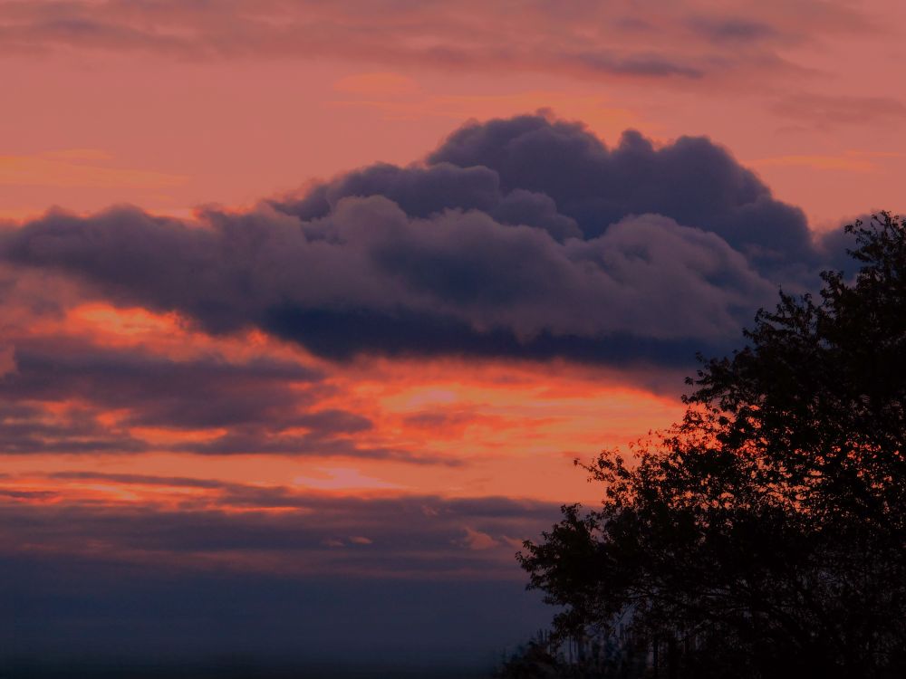 #FavQuotesFromLynne

If you're not moving forward, you're falling back.

Sam Waterston