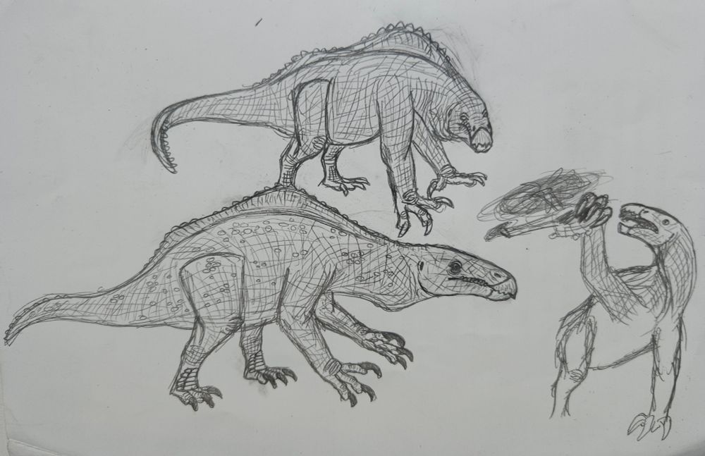 Drex deinocheirus thing
#jurassicworldrebirth
A bunch of sketches of weird deinocheirus like dinosaur mutant with oversized hands, short neck and naked body with loose skin and scattered scales.