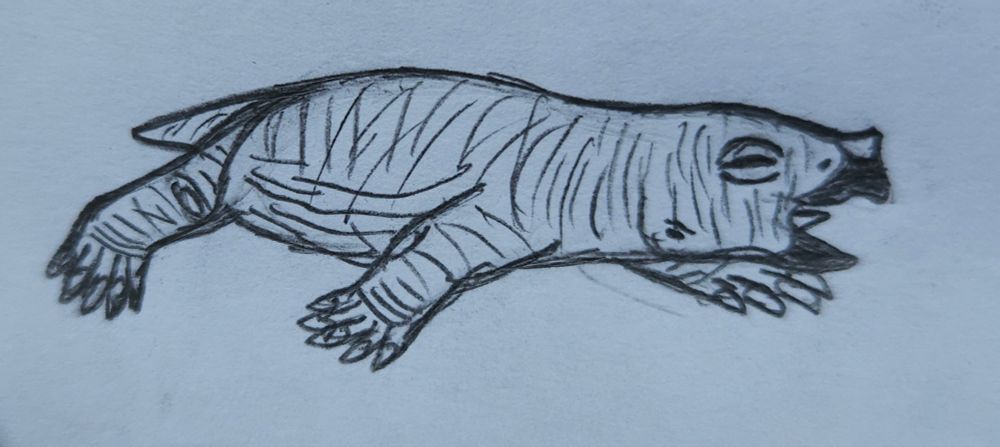 Speculative baby placerias with egg tooth