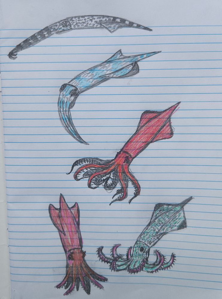 Concepts for fictional spec evo belemnites
A bunch of quick colored doodles of fictional squid like cephalopods in a notebook
