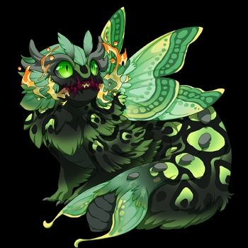 Eternal Youth Aether hatchling dragon from the browser game Flight Rising, with Eldritch Boa, Seafoam Spinner, and Wine Carnivore.