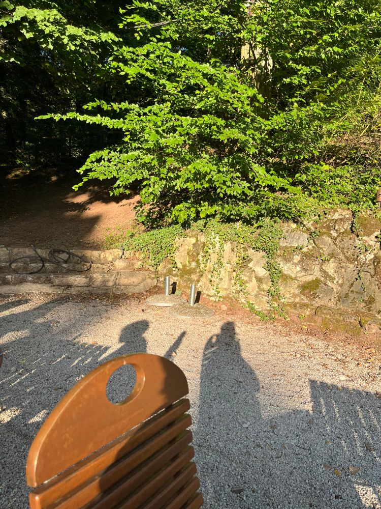Waldbiergarten Tübingen, Sitzplätze direkt am Waldrand.