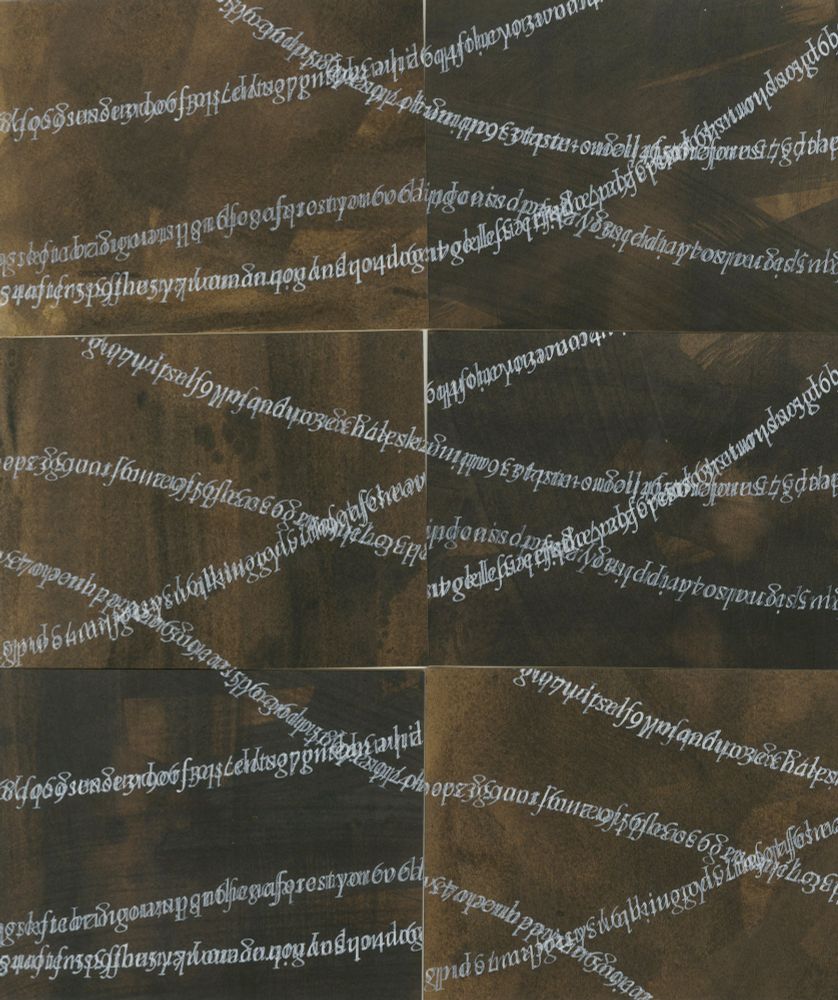 The front of a beautiful keepsake produced by Rachel Marsh of Semple Press. Rachel’s special edition for participants - Mycelial Whispers, is letterpress printed in PaperWise (made from agricultural crop waste) dyed with oak gall modified with iron and soda ash.