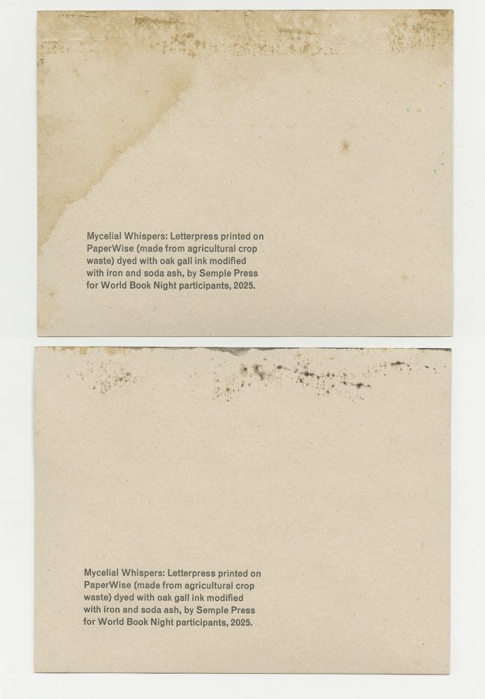 The back of a beautiful keepsake produced by Rachel Marsh of Semple Press. Rachel’s special edition for participants - Mycelial Whispers, is letterpress printed in PaperWise (made from agricultural crop waste) dyed with oak gall modified with iron and soda ash.