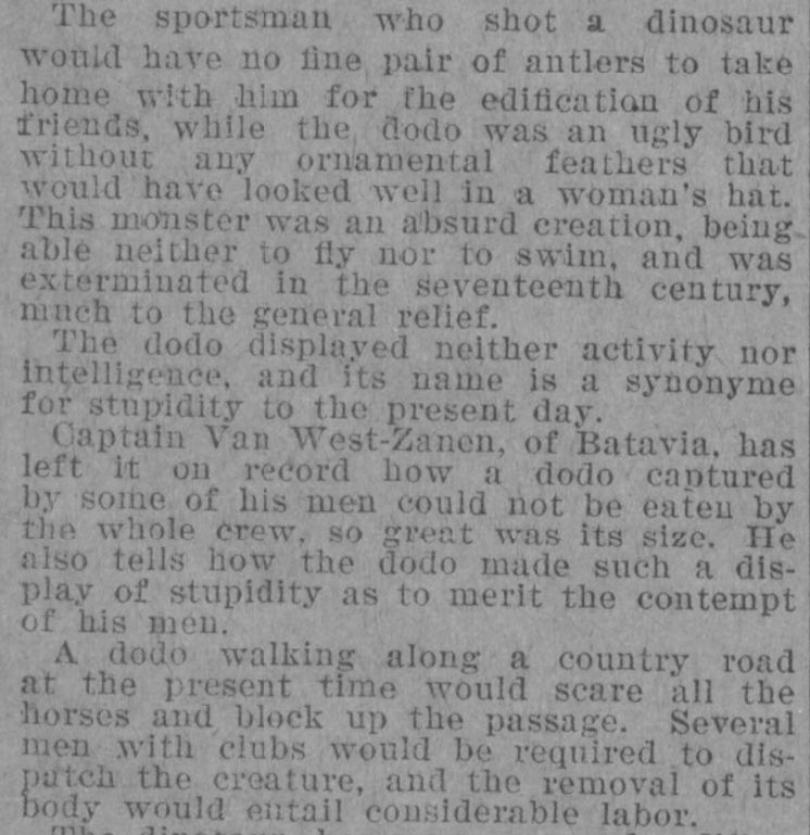 A further excerpt of the article: "The sportsman who shot a dinosaur would have no fine pair of antlers to take home with him for the edification of his friends, while the dodo was an ugly bird without any ornamental feathers that would have looked well in a woman's hat. This monster was an absurd creation, being able able neither to fly nor to swim, and was exterminated in the seventeenth century, much to the general relief.
"The dodo displayed neither activity nor intelligence, and its name is a synonyme[sic] for stupidity to the present day.
"Captain Van West-Zanen, of Batavia, has left it on some record how a dodo captured by some of his men could not be eaten by the whole crew, so great was its size. He also tells how the dodo made such a display of stupidity as to merit the contempt of his men.
"A dodo walking along a country road at the present time would scae all the horses and block up the passage. Several men with clubs would be required to dispatch the creature, and the removal of its body would entail considerable labor."
