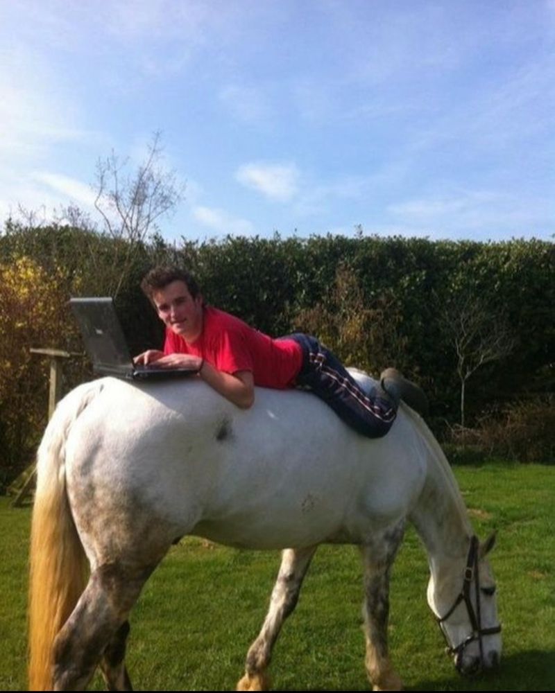 A person lies on their stomach on a white horse's back while using a laptop. The horse is grazing in a grassy field with hedges in the background.