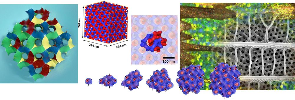 depictions of various gyroid and gyroid-like structures