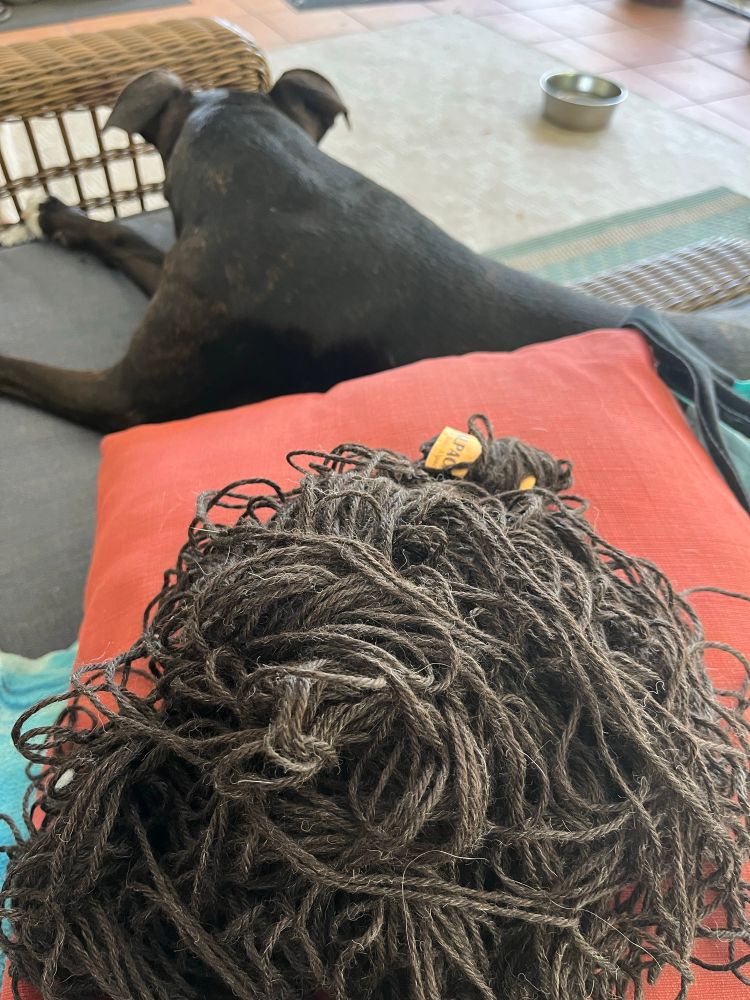 A black dog and a large rat’s nest of dark gray yarn that had been unwound. 