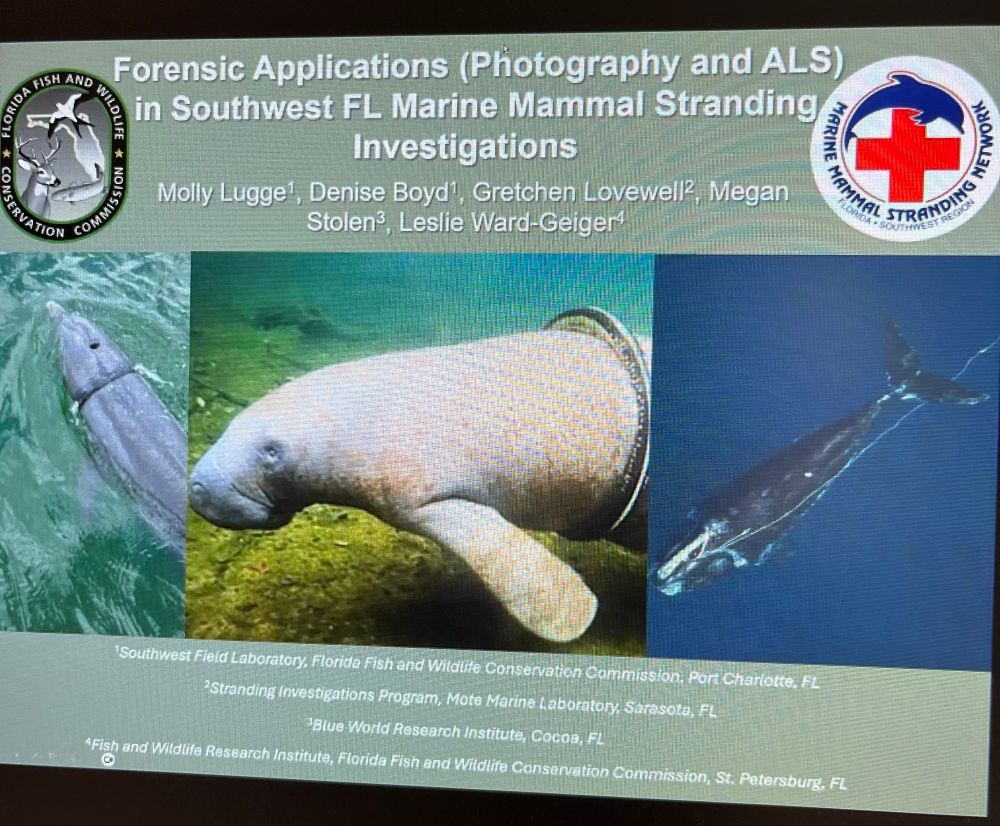 Title slide from a talk: Forensic Applications (Photography and ALS) in Southwest FL marine mammal stranding investigation with authors listed
