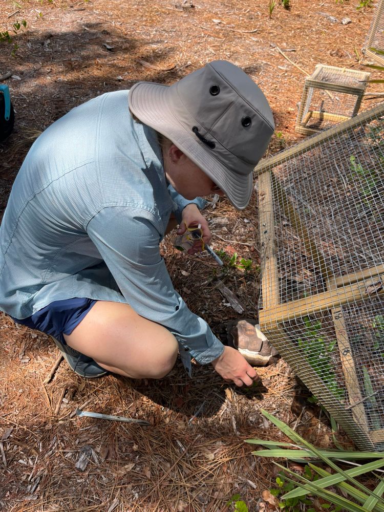 Photo of Dr. DeBruyn collecting samples at a forensic field site. 