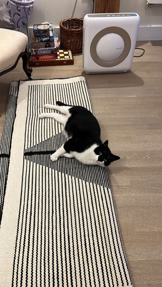 A black and white cat lying on its side, spead across a white rug with black horizontal stripes/