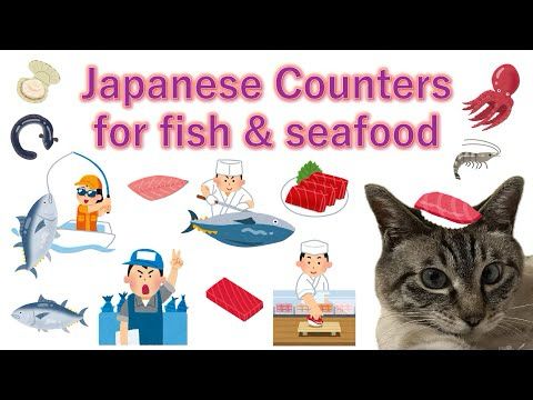 Japanese Counters for fish & seafood  ~ live fish to sushi: 一匹　一尾　一本　一丁　一冊　一切れ　一貫~ #japanese #fish
