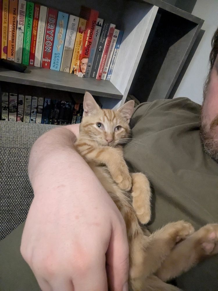 Ginger kitten laid on her back in Andy's arms.
She's just a baby 