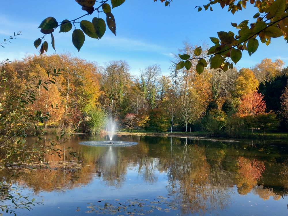 View of pond from a se ond angle, with blue sky and autumnal trees